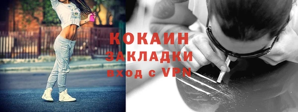 прущие грибы Волосово