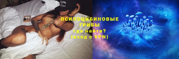 ГАЛЛЮЦИНОГЕННЫЕ ГРИБЫ Володарск
