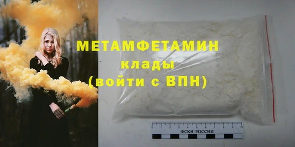 прущие грибы Волосово