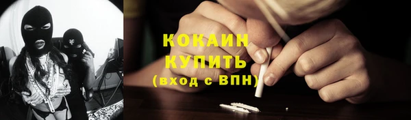прущие грибы Волосово