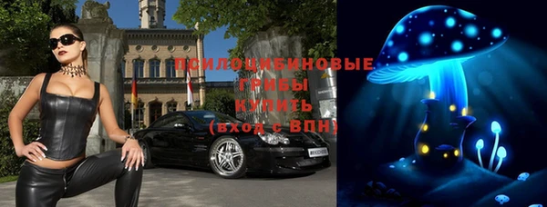 прущие грибы Волосово